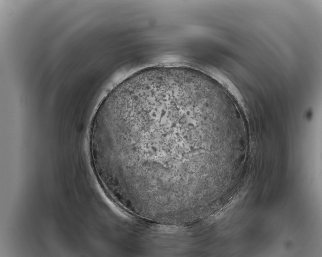 X0000099321429200805091031