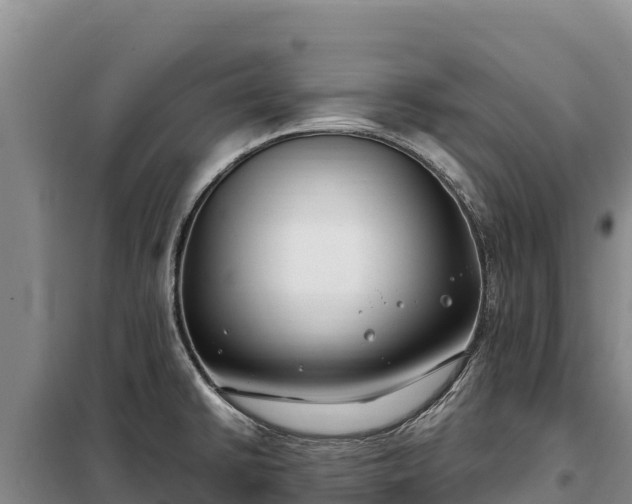 X0000099321430200805091031