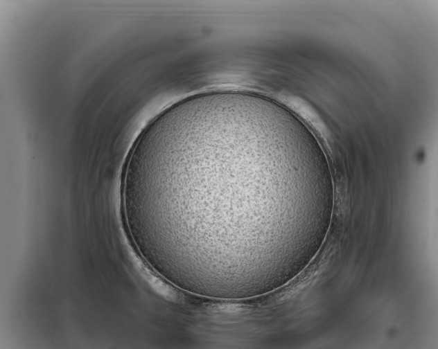 X0000099321431200805091031