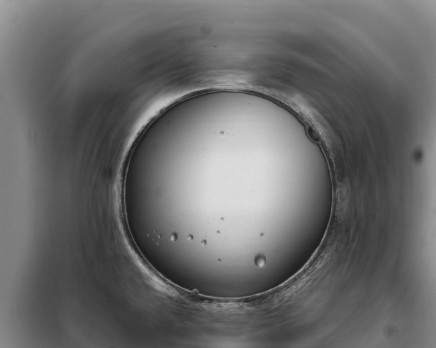 X0000099321432200805091031