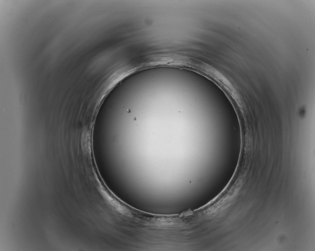 X0000099321433200805091031