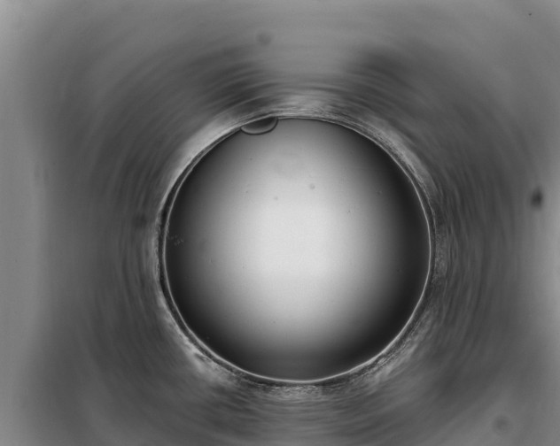 X0000099321434200805091031