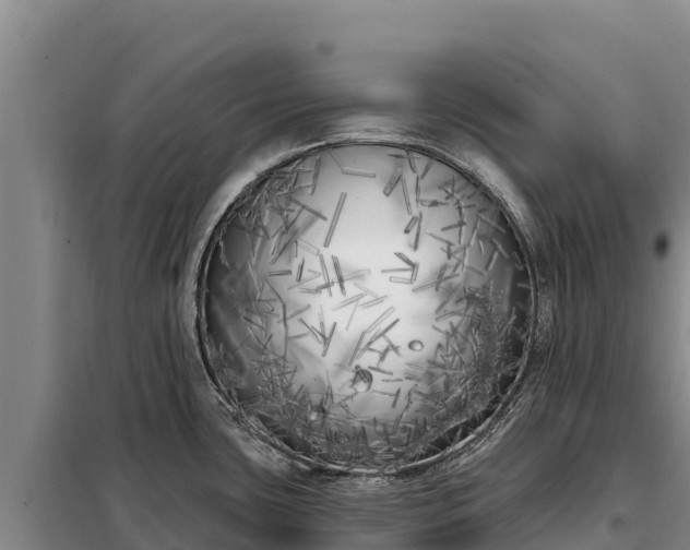 X0000099321435200805091031