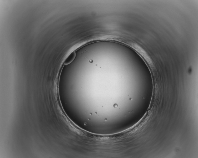 X0000099321436200805091031