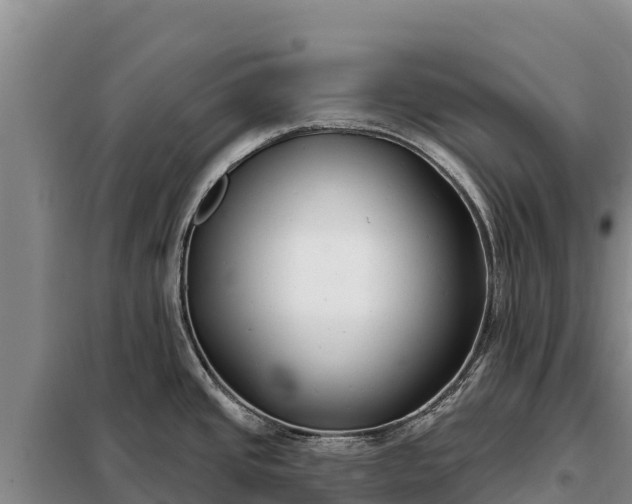 X0000099321437200805091031