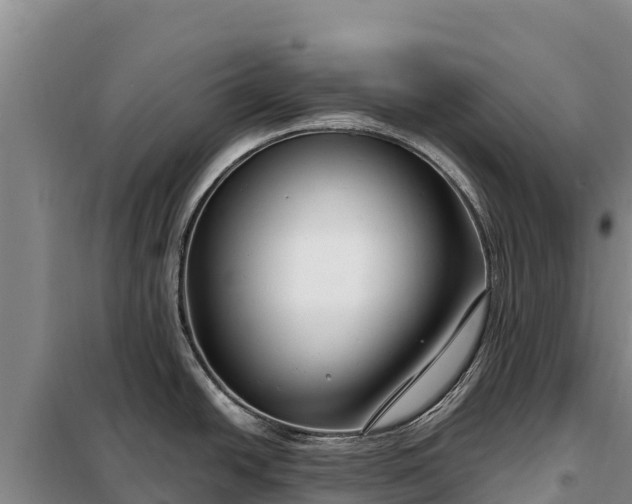 X0000099321438200805091031