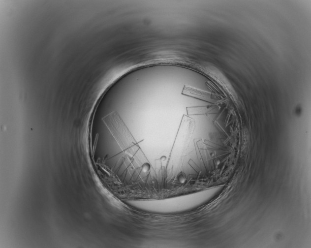 X0000099321439200805091031