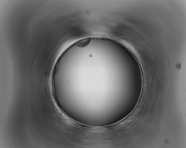 X0000099321440200805091031