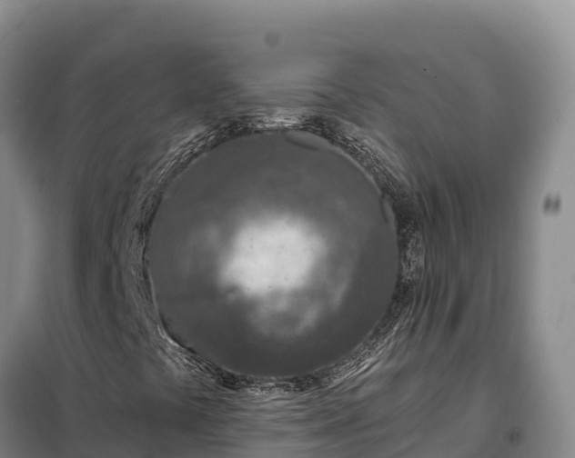 X0000099321441200805091030