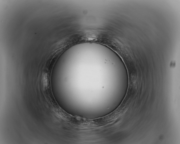 X0000099321442200805091030