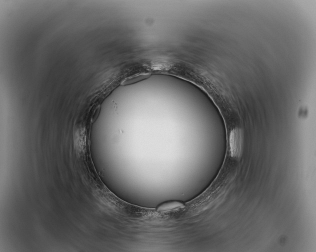 X0000099321443200805091030