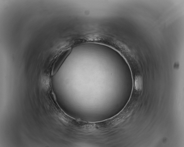 X0000099321444200805091030