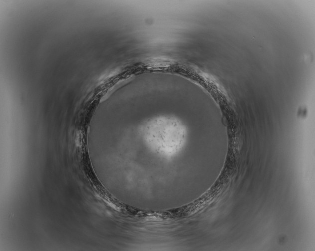 X0000099321445200805091030