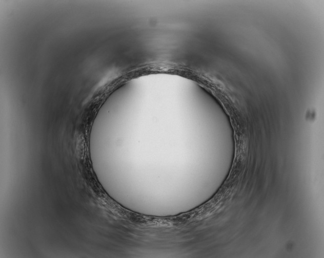 X0000099321446200805091030