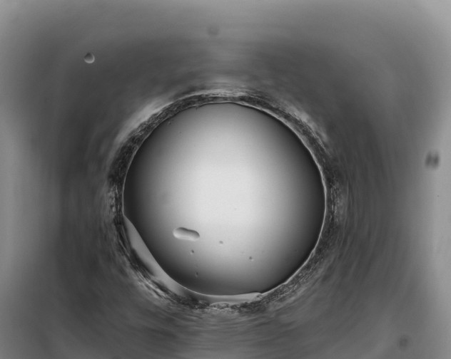 X0000099321448200805091030