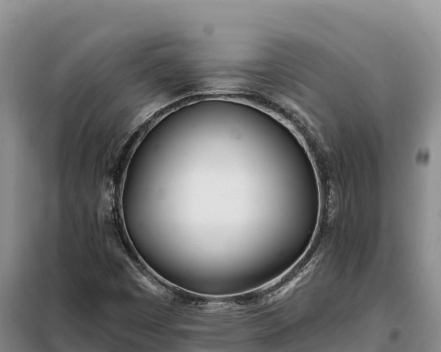 X0000099321449200805091030