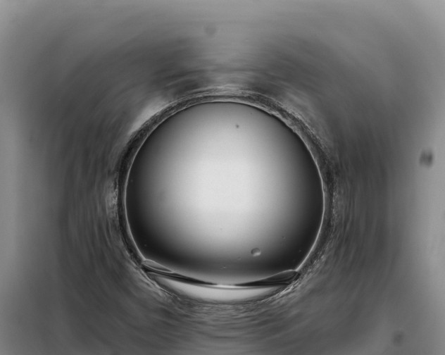 X0000099321450200805091030