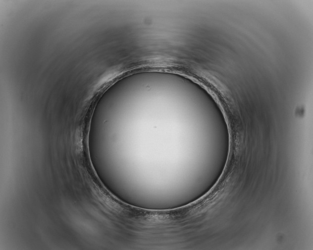 X0000099321451200805091030