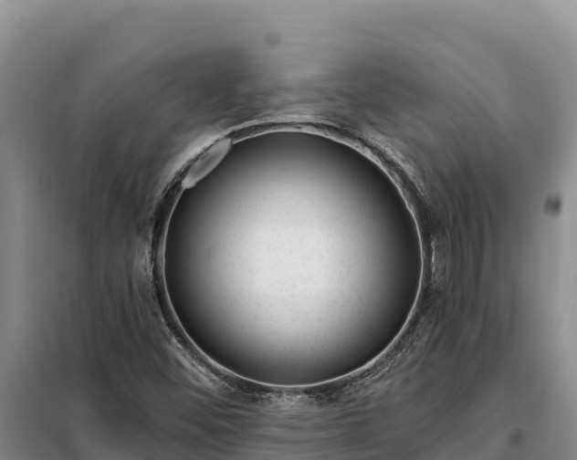 X0000099321452200805091030