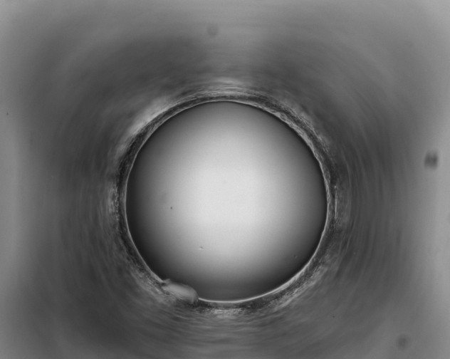 X0000099321453200805091030