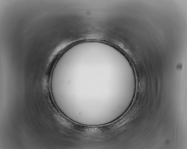 X0000099321454200805091030