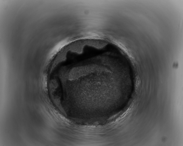 X0000099321455200805091030