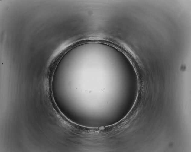 X0000099321456200805091030