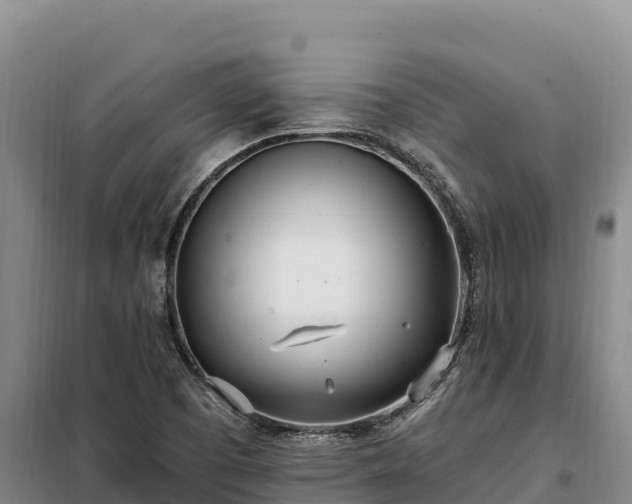 X0000099321457200805091030