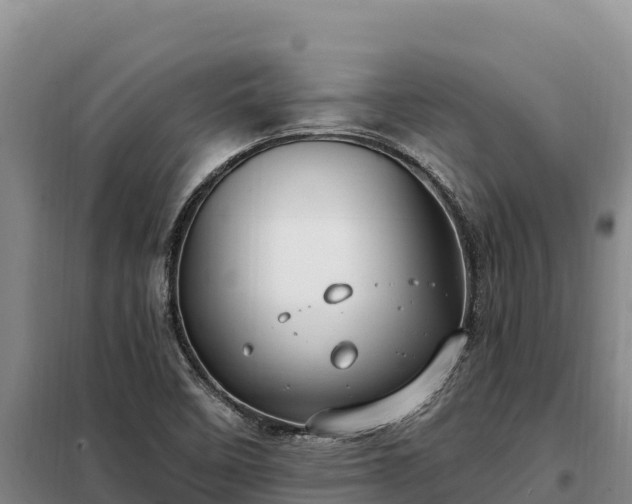 X0000099321458200805091030