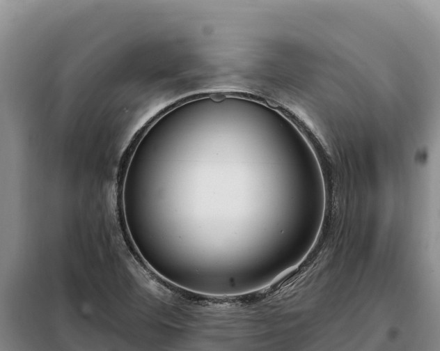 X0000099321460200805091030