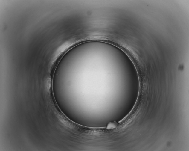 X0000099321461200805091030