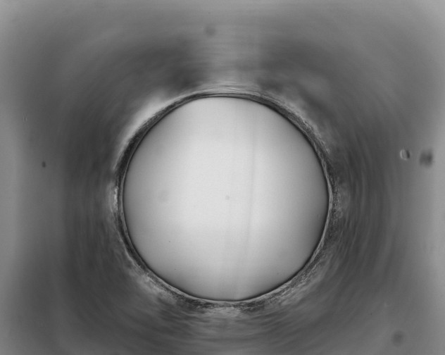 X0000099321462200805091030