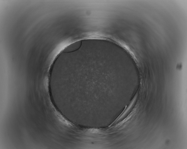 X0000099321463200805091030