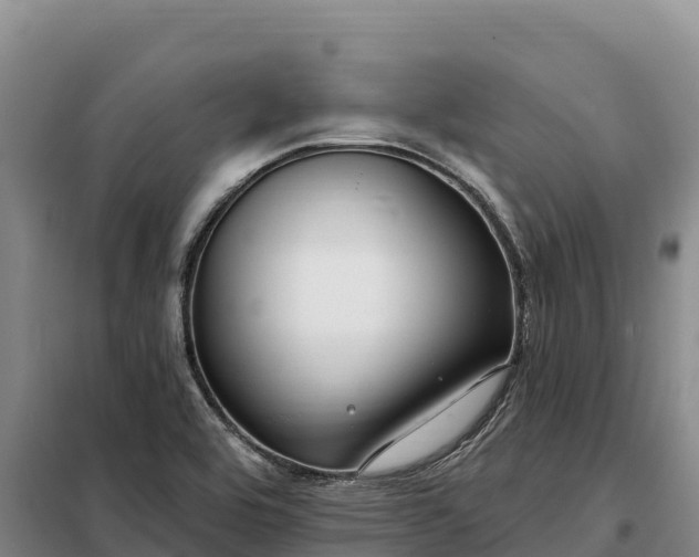 X0000099321464200805091030