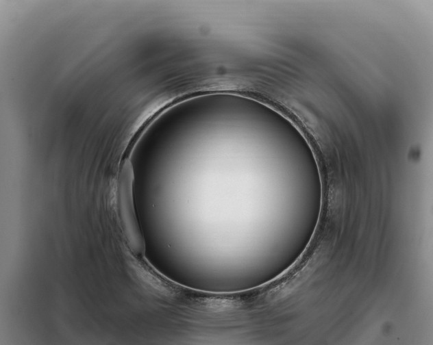 X0000099321465200805091030