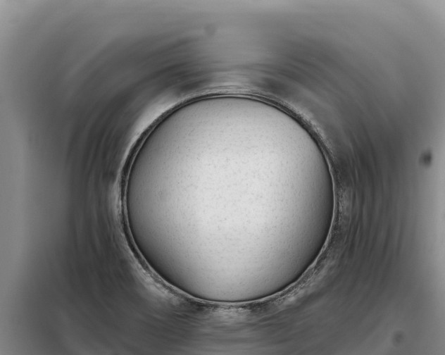 X0000099321466200805091030