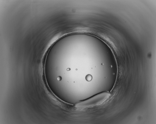 X0000099321467200805091030