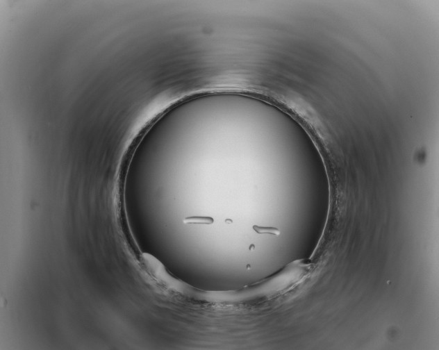 X0000099321469200805091030