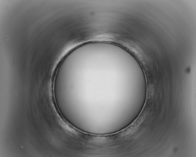 X0000099321470200805091030