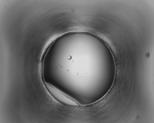 X0000099321472200805091030