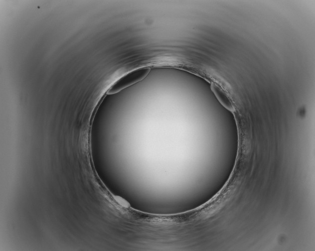 X0000099321473200805091030