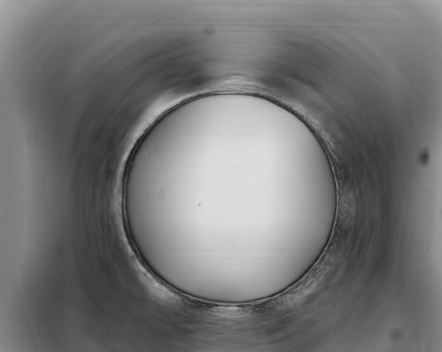 X0000099321478200805091030