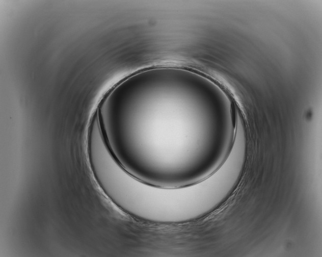 X0000099321480200805091030