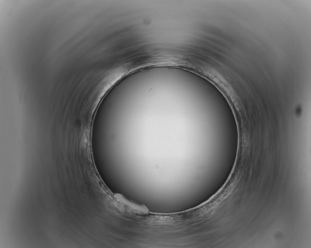 X0000099321481200805091030