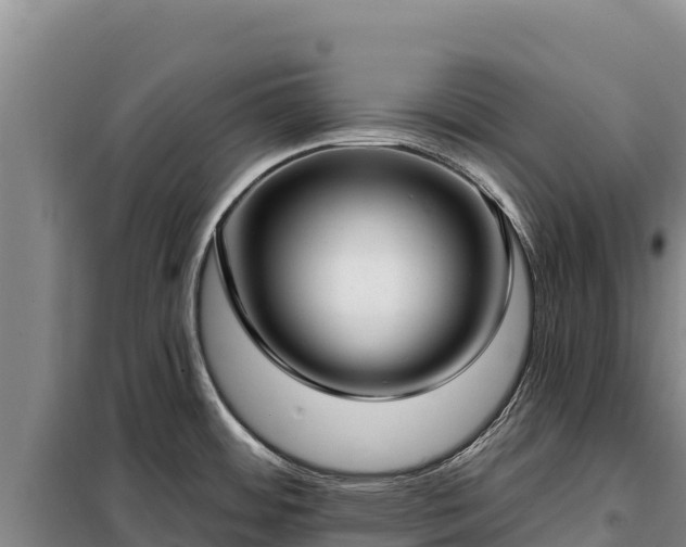 X0000099321484200805091030