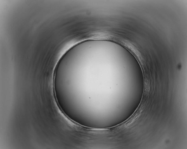 X0000099321487200805091030