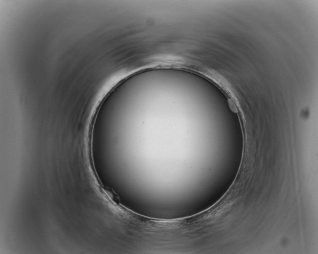 X0000099321488200805091030