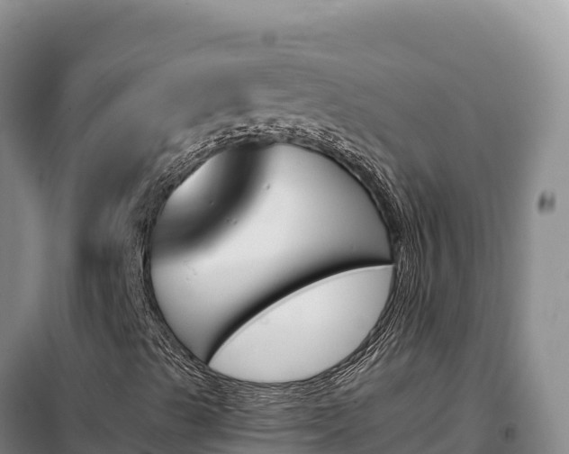 X0000099321489200805091029