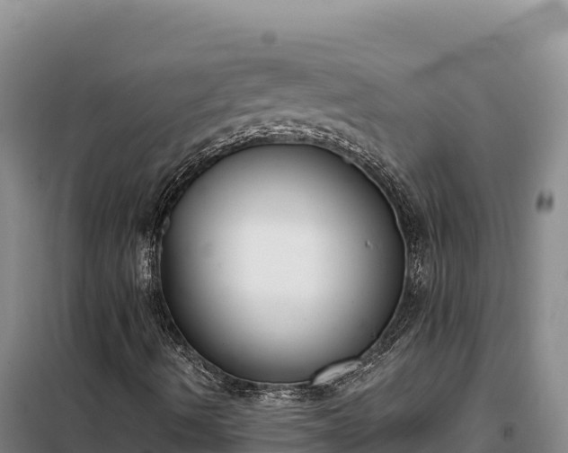 X0000099321490200805091029