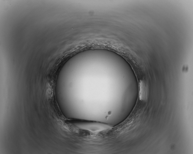 X0000099321491200805091029